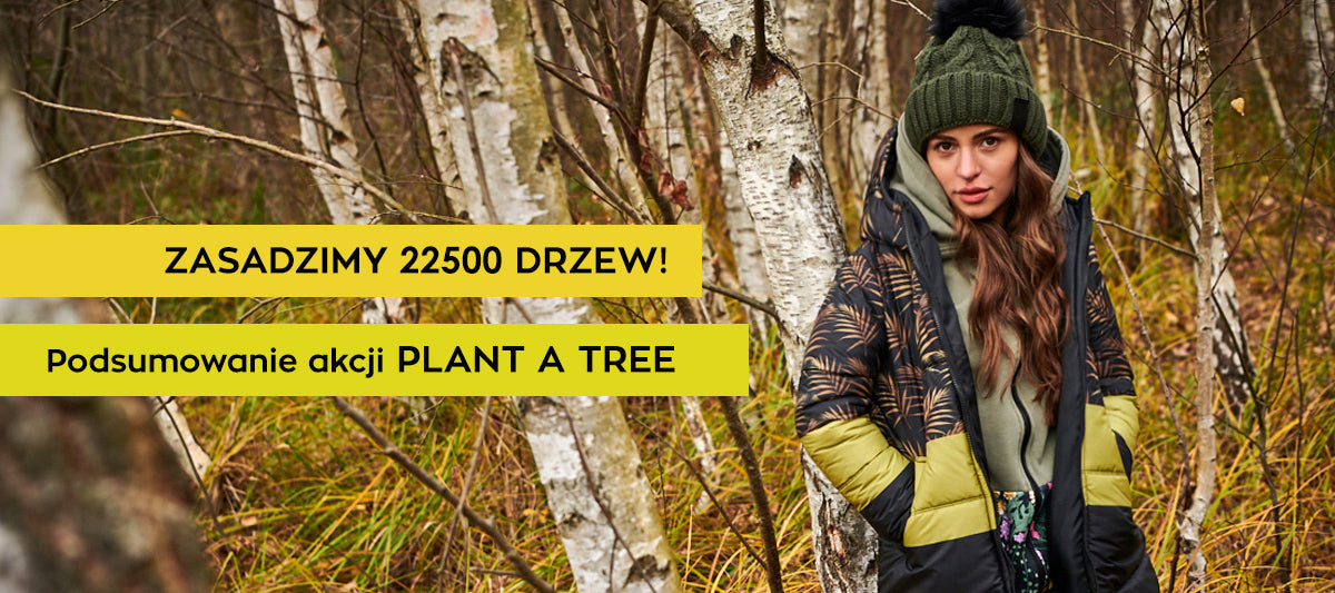 Zasadzimy 22 tysiące drzew – podsumowanie akcji Plant a Tree