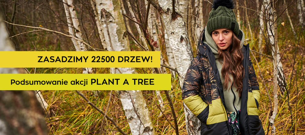 Zasadzimy 22 tysiące drzew – podsumowanie akcji Plant a Tree