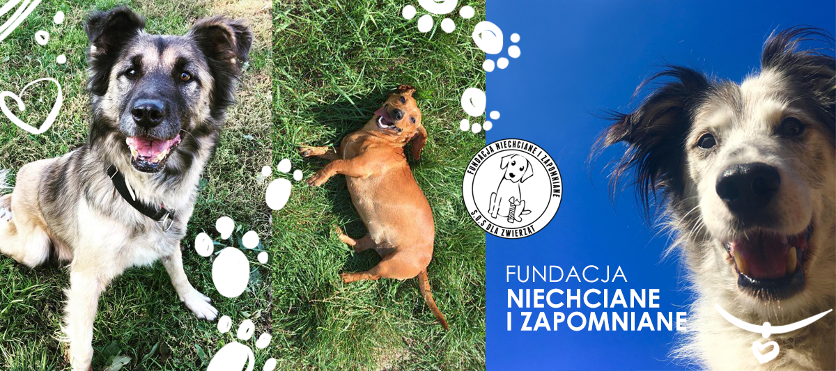 Niechciane i Zapomniane, czyli gdzie znaleźć przyjaciela na całe życie