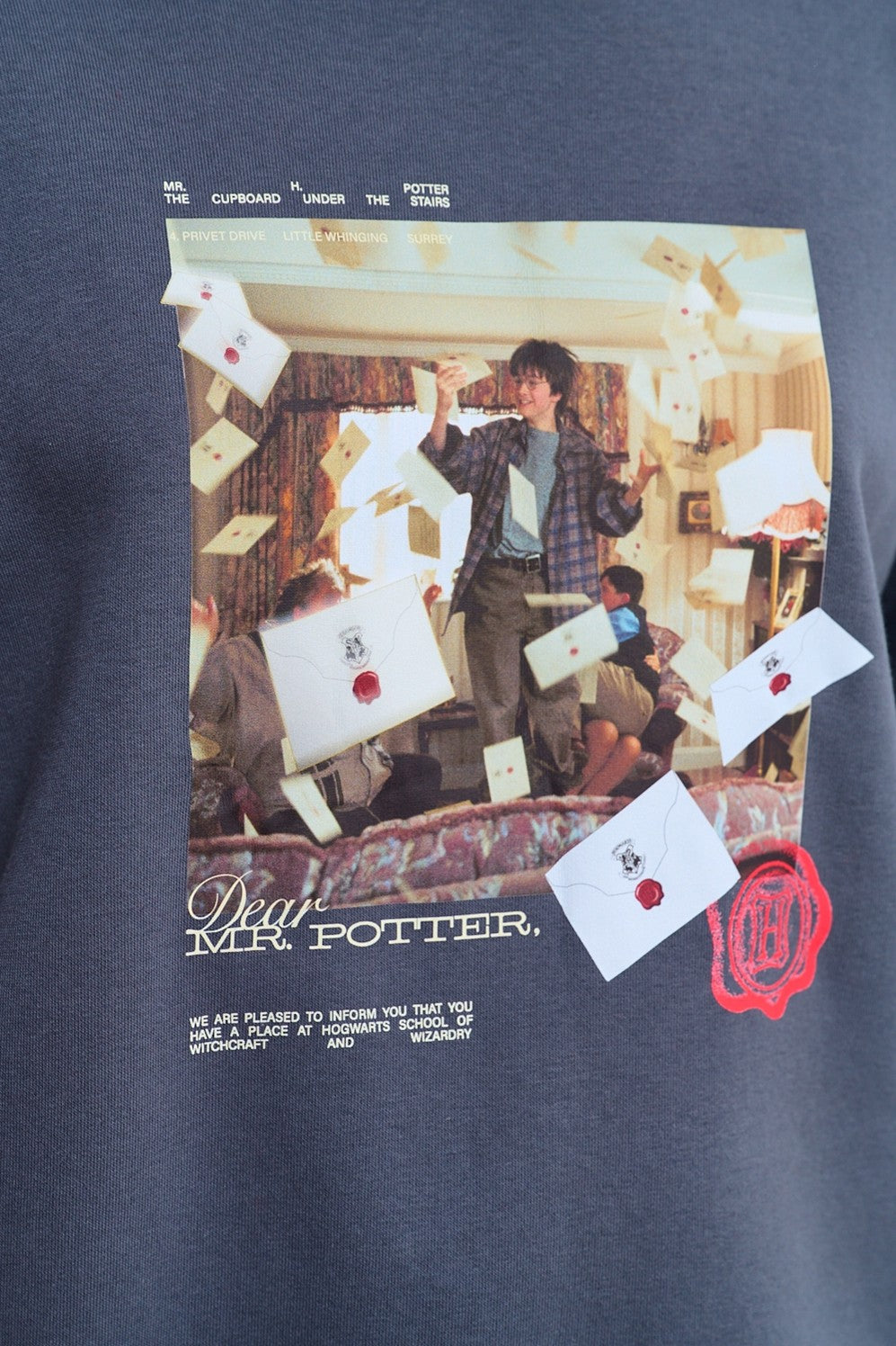 Bluza Dear Potter
